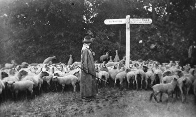 Schilderachtig oorlogswerk: de dame herder, uit The Illustrated War News, 5 juli 1916 door English Photographer